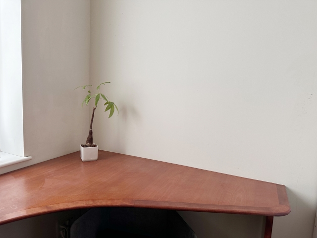 シンプルなコーナーデスクと鉢植え
